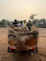 Kara Seva at Kembre Farm - Kara Seva Shivir 2025, SCM Shirali - Day 6 (02 Jan 2026) Pictures Courtesy Chitrapur Yuvadhara